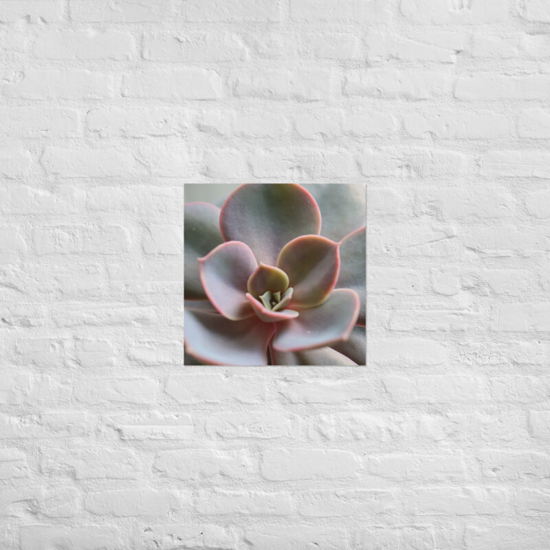 Succulant Poster - Image 8