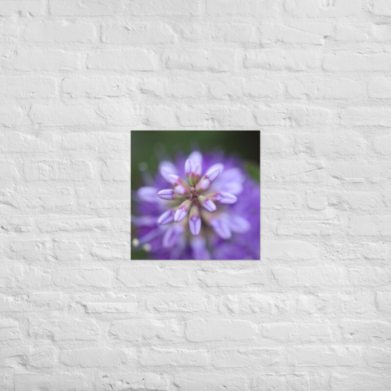 Purple flower poster - Image 9