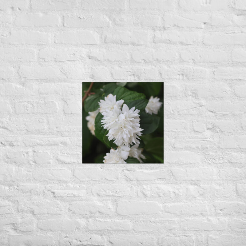 White Flower Poster - Image 9