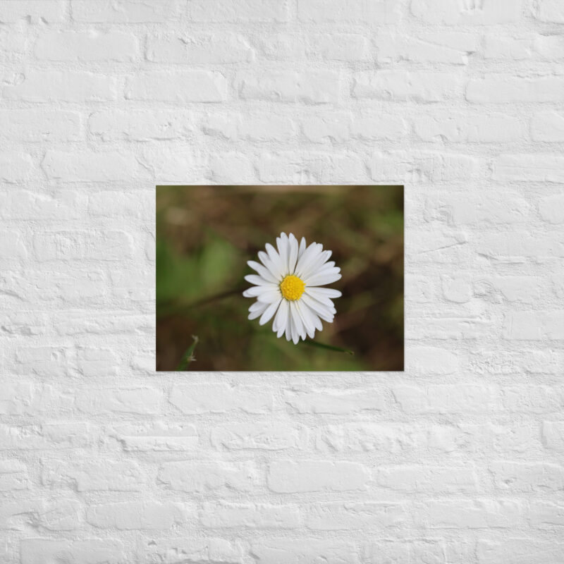 Daisy Poster