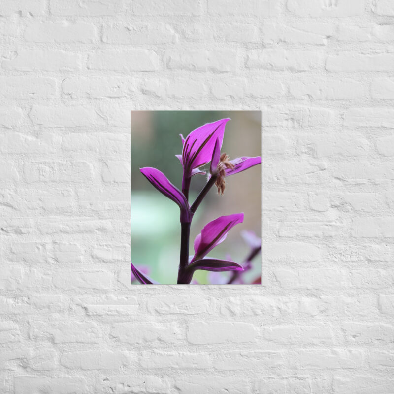 Purple plant poster