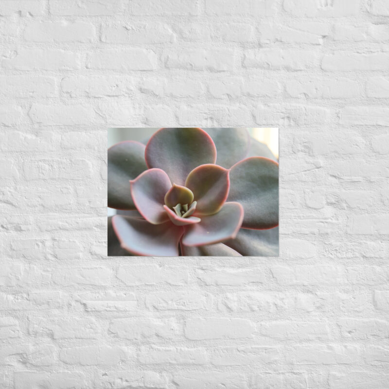 Succulant Poster - Image 9