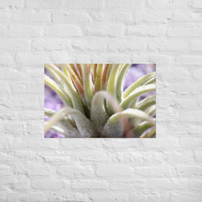 Macro Plant Poster - Image 13