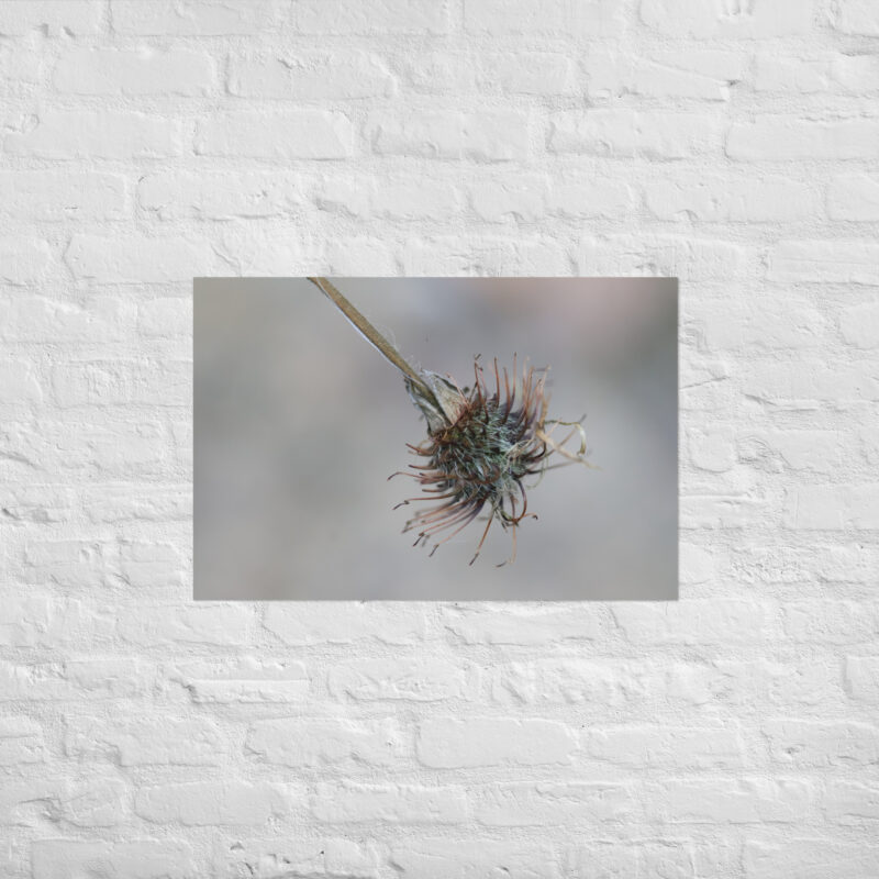 Macro Plant Hooks Poster - Image 13