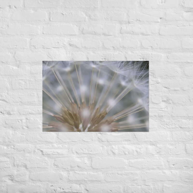 Dandelion 6 Poster - Image 13