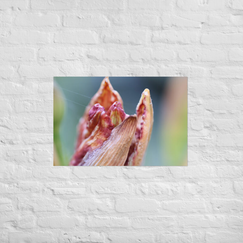 Macro Flower Bud Poster - Image 13