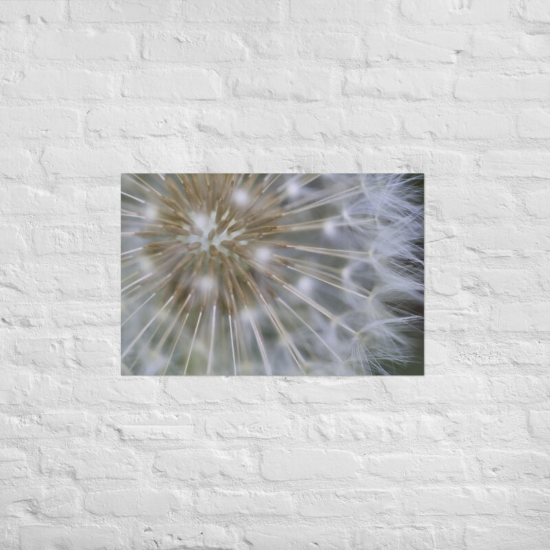 Dandelion Poster - Image 13