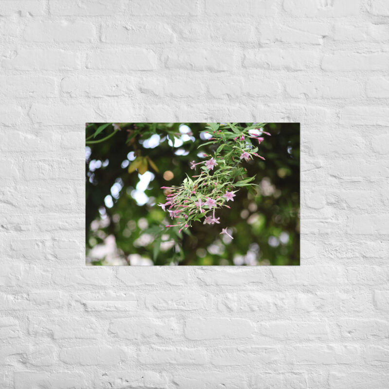 Honeysuckle Poster - Image 13