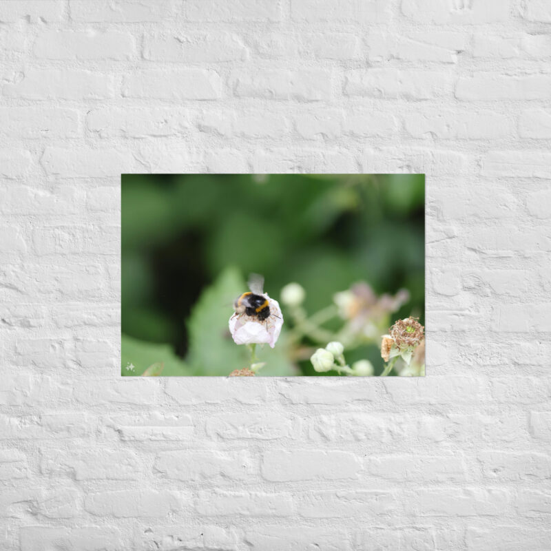 Bumble Bee Poster - Image 13