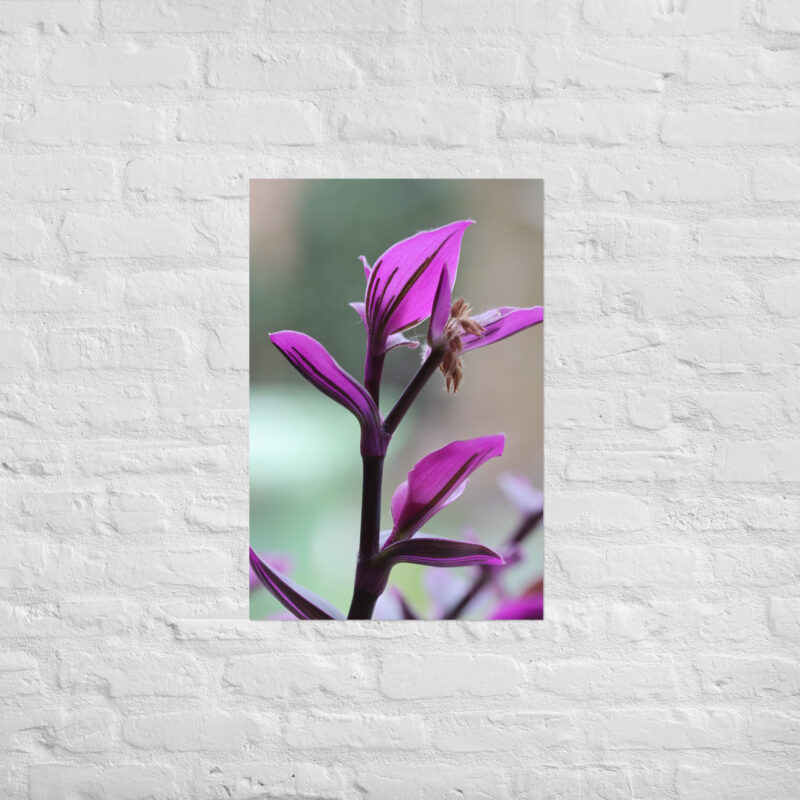 Purple plant poster - Image 13