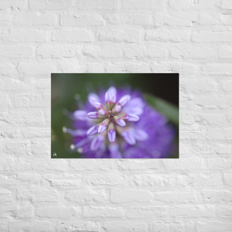 Purple flower poster - Image 10