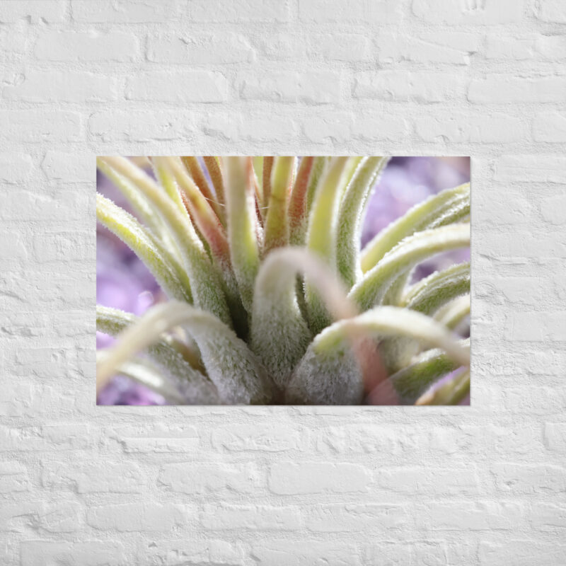 Macro Plant Poster - Image 14