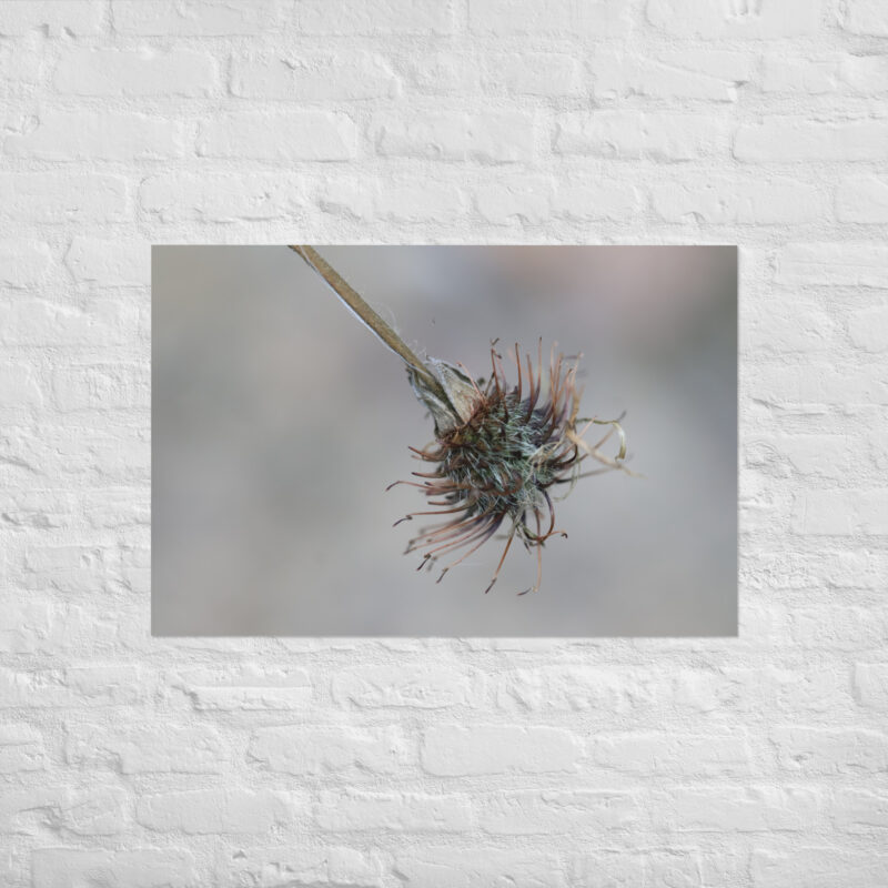 Macro Plant Hooks Poster - Image 14