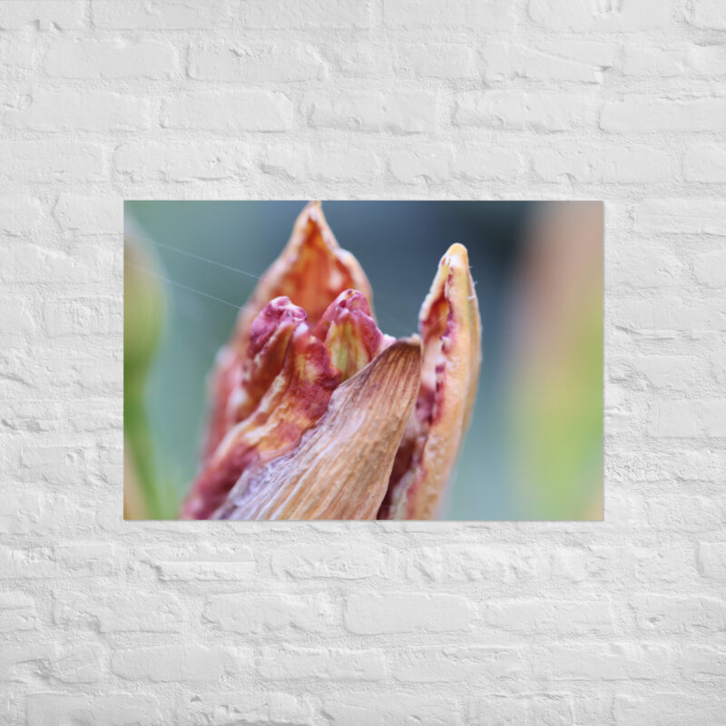 Macro Flower Bud Poster - Image 14