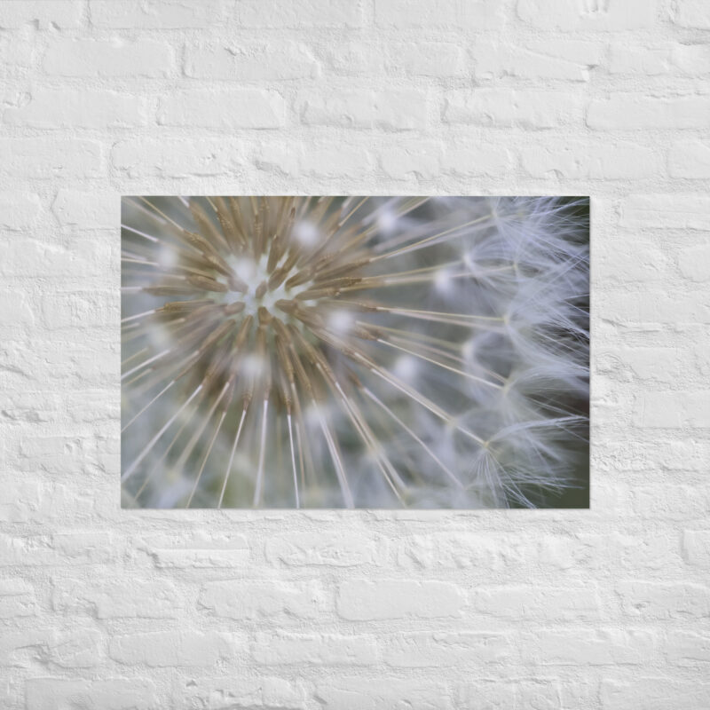 Dandelion Poster - Image 14