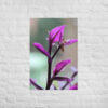 Purple plant poster - Image 14