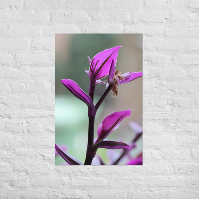 Purple plant poster - Image 14