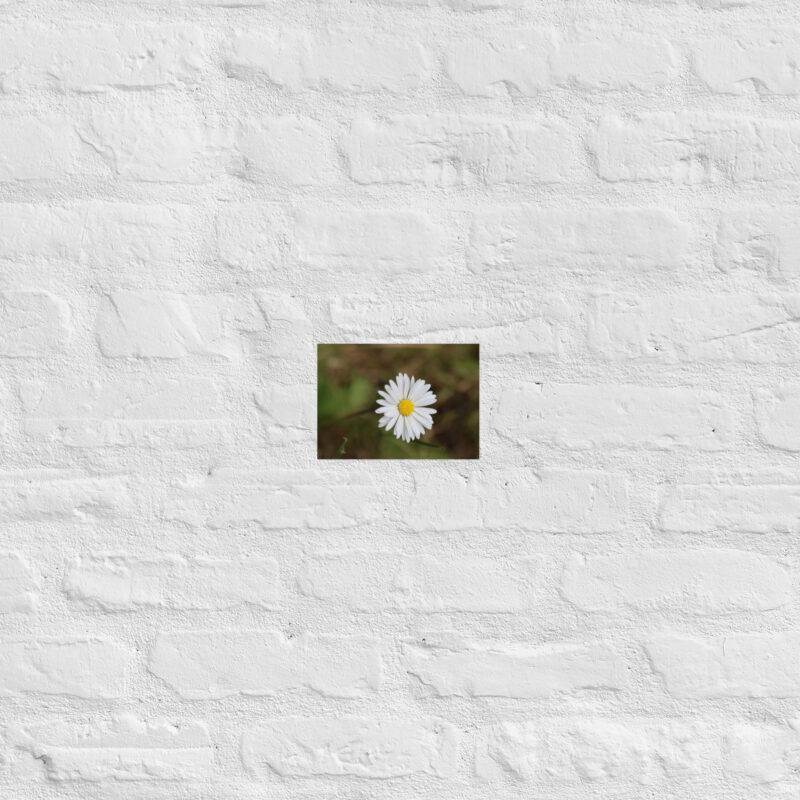 Daisy Poster - Image 15