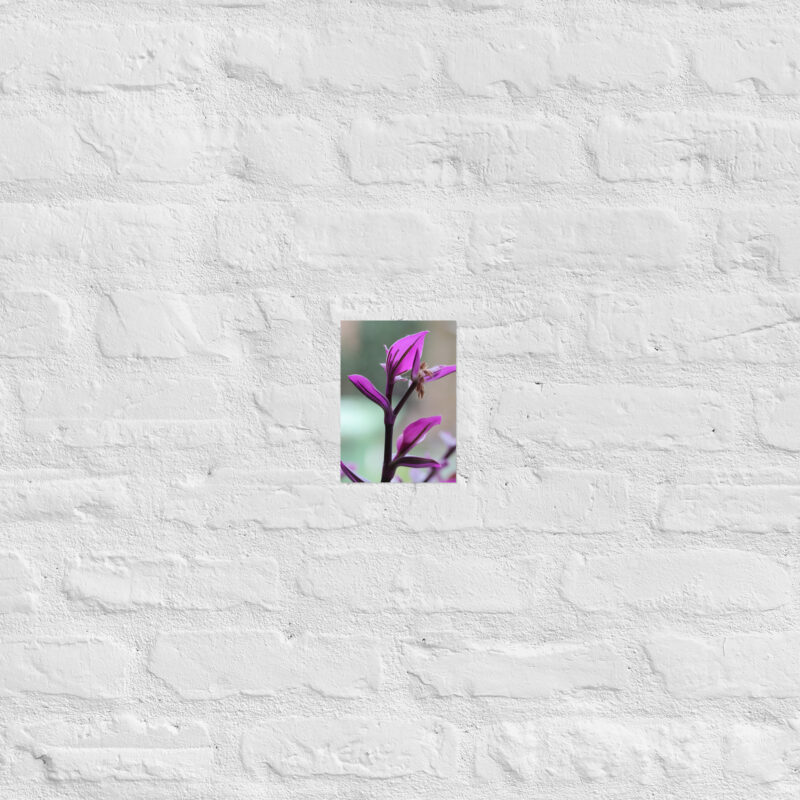 Purple plant poster - Image 15