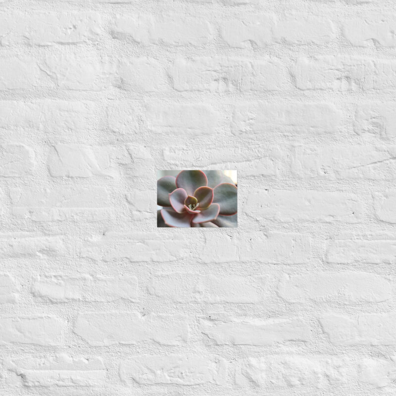 Succulant Poster - Image 11