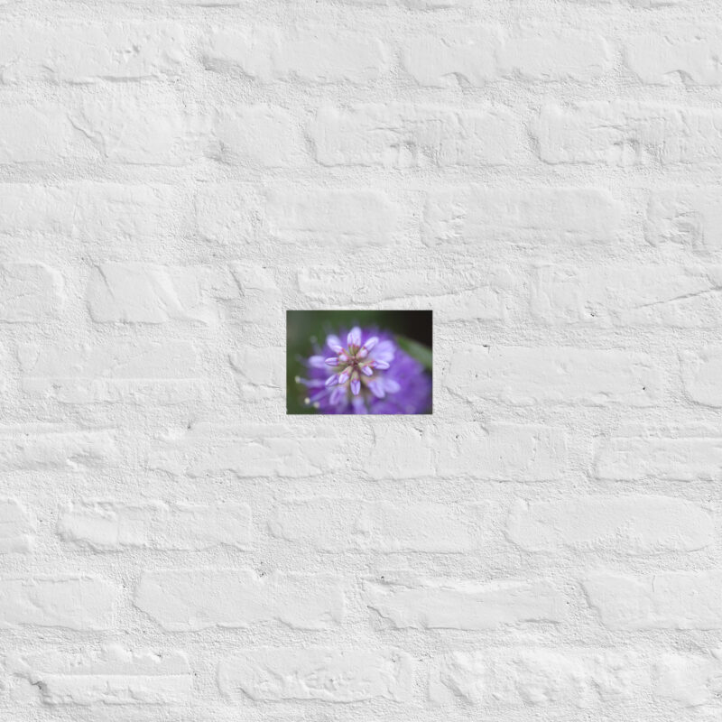 Purple flower poster - Image 11