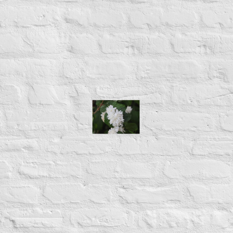 White Flower Poster - Image 11