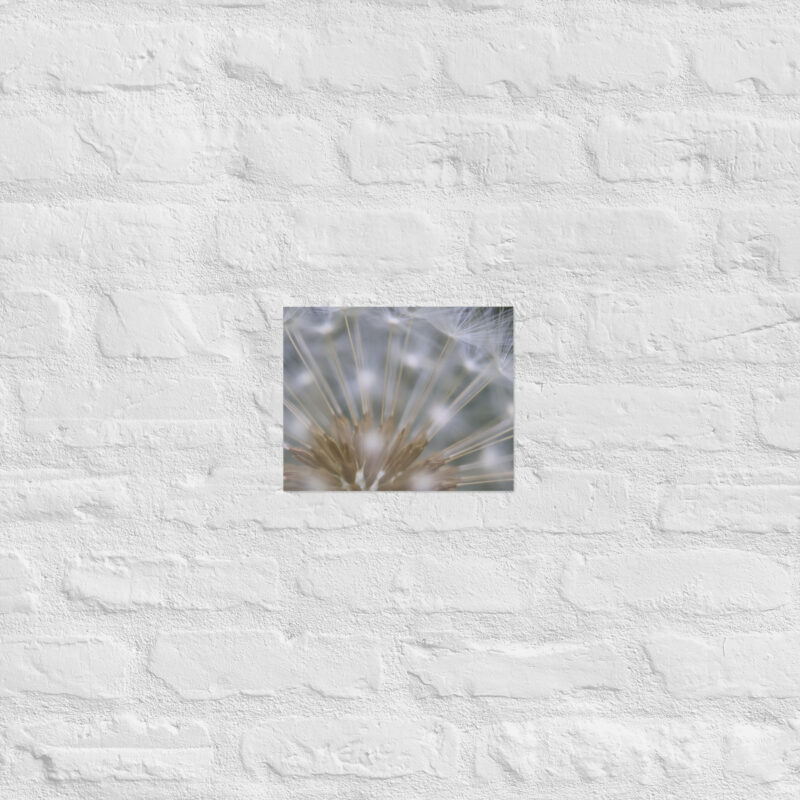 Dandelion 6 Poster - Image 16