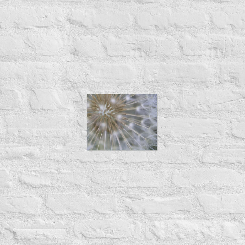 Dandelion Poster - Image 16