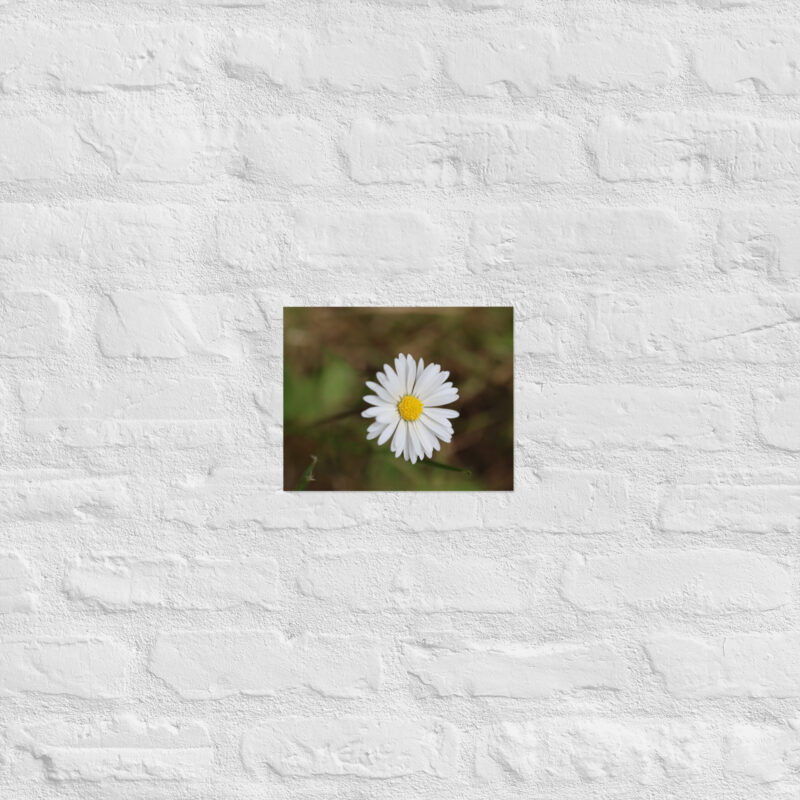 Daisy Poster - Image 16