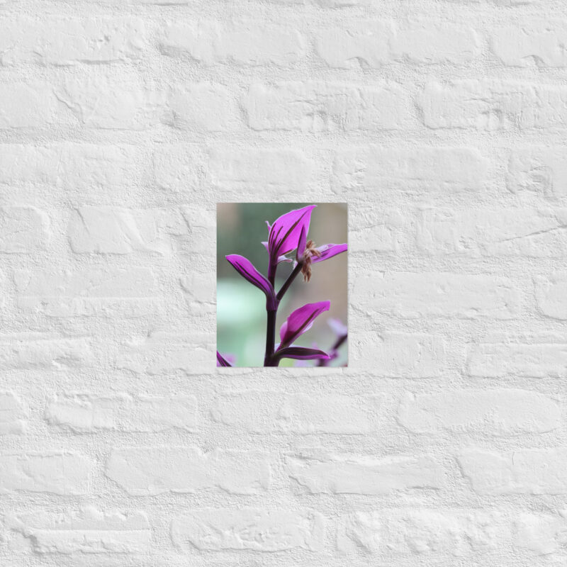 Purple plant poster - Image 16