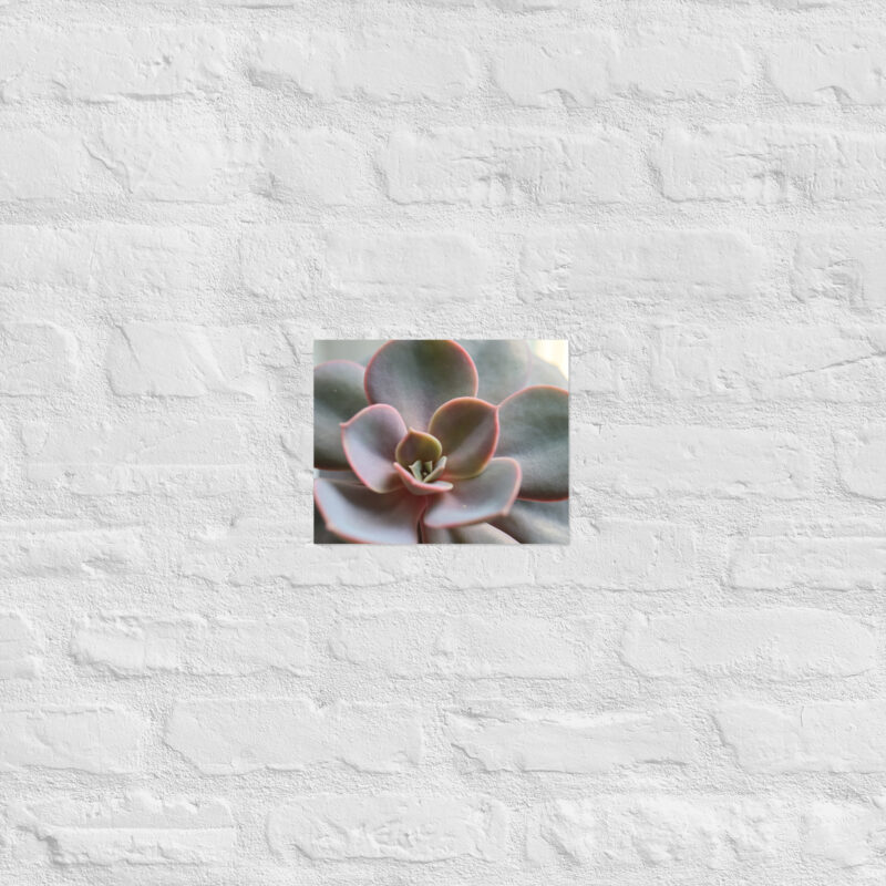 Succulant Poster - Image 12