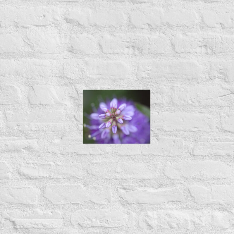 Purple flower poster - Image 12