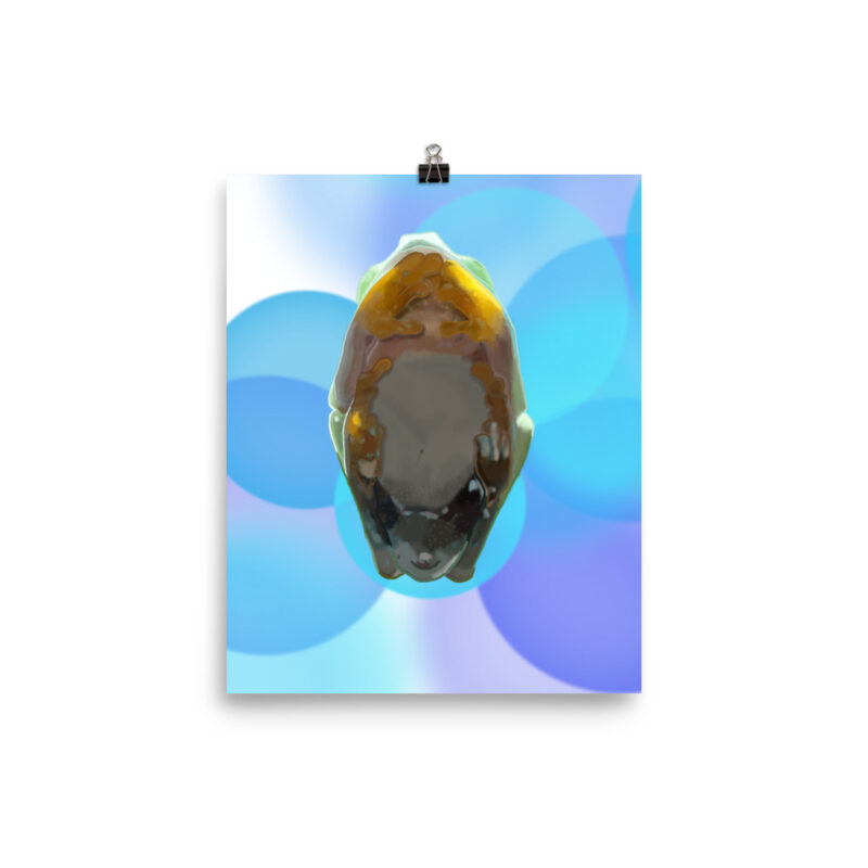 Tree Frog Poster - Image 6