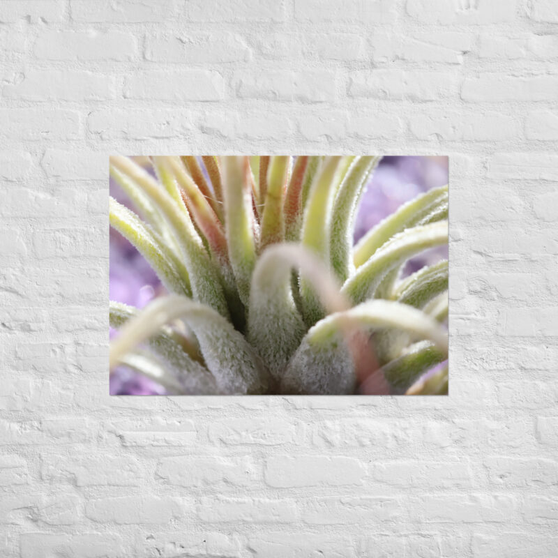 Macro Plant Poster - Image 2