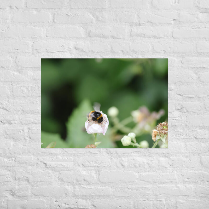 Bumble Bee Poster - Image 2