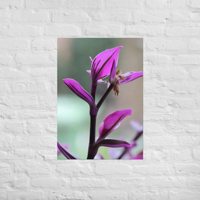 Purple plant poster - Image 2