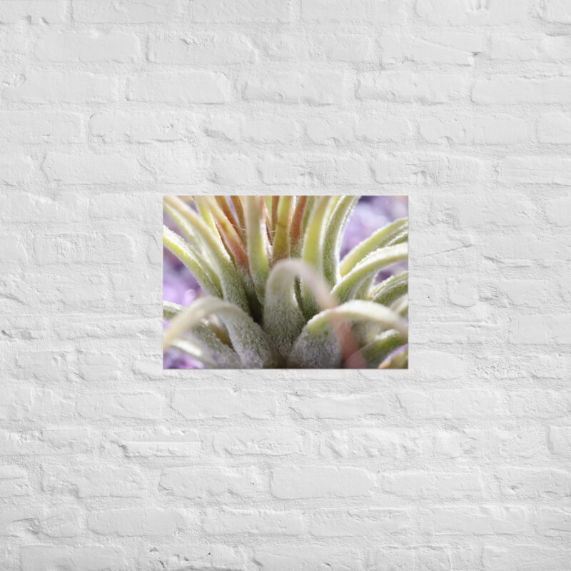 Macro Plant Poster - Image 3