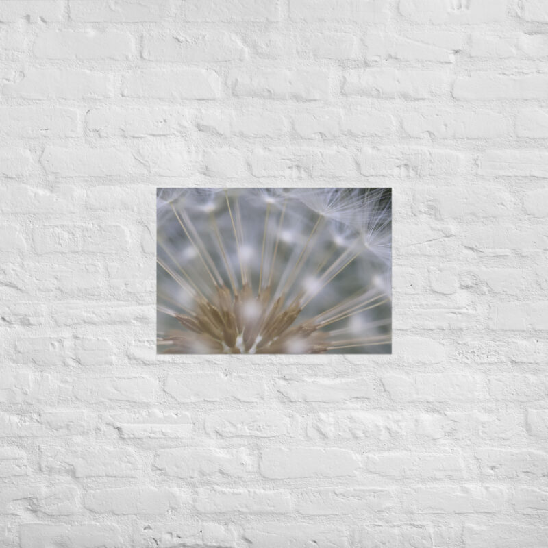 Dandelion 6 Poster - Image 3