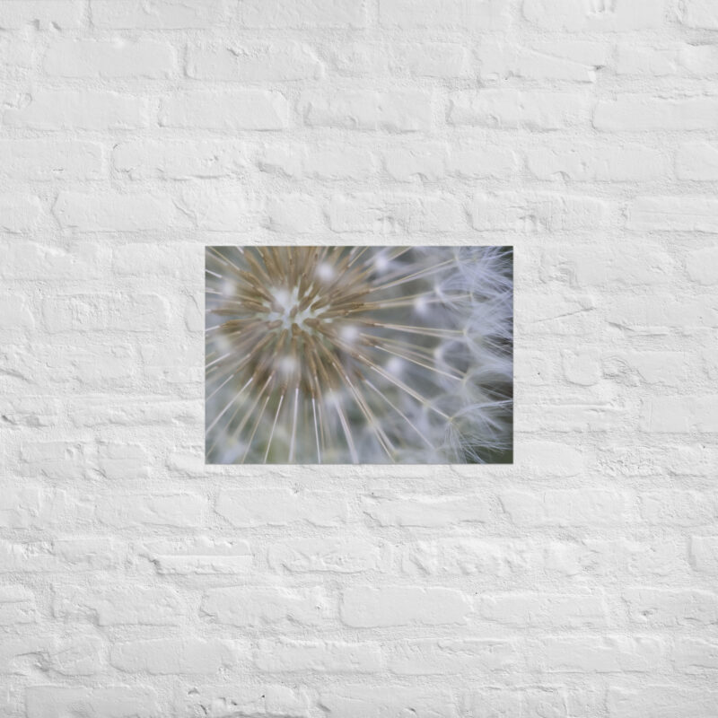 Dandelion Poster - Image 3