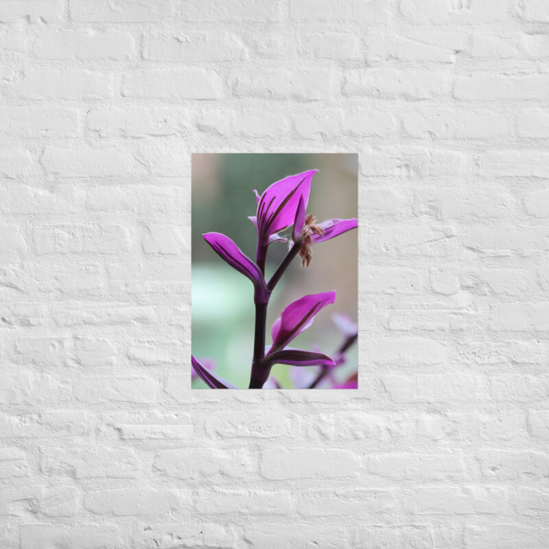 Purple plant poster - Image 3