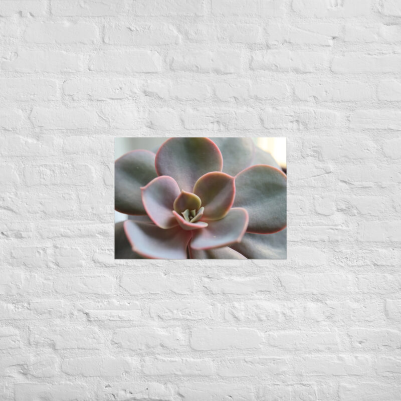 Succulant Poster - Image 2