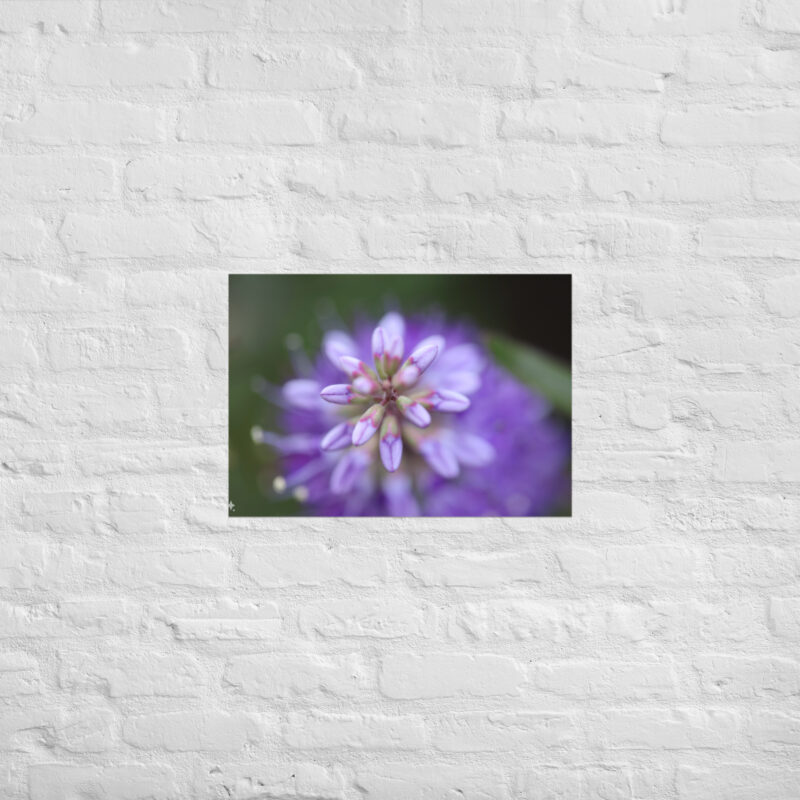 Purple flower poster - Image 2