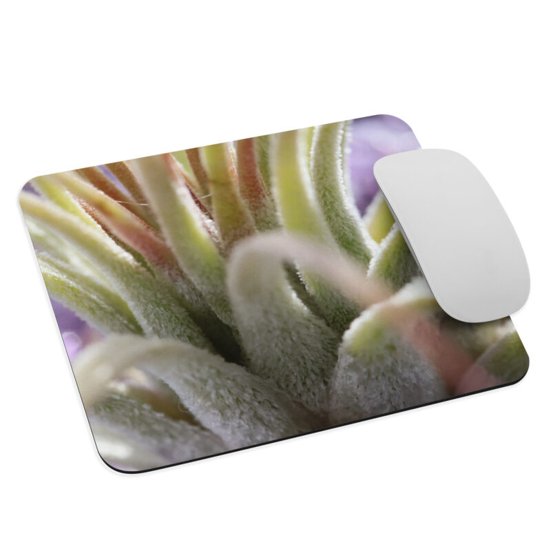 Macro Plant Mouse pad