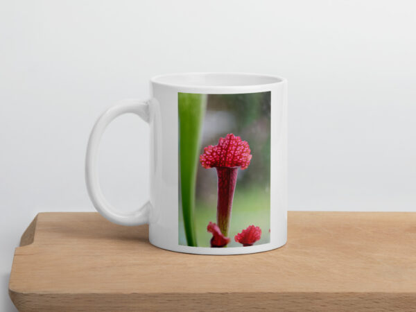Carnie Mug 3