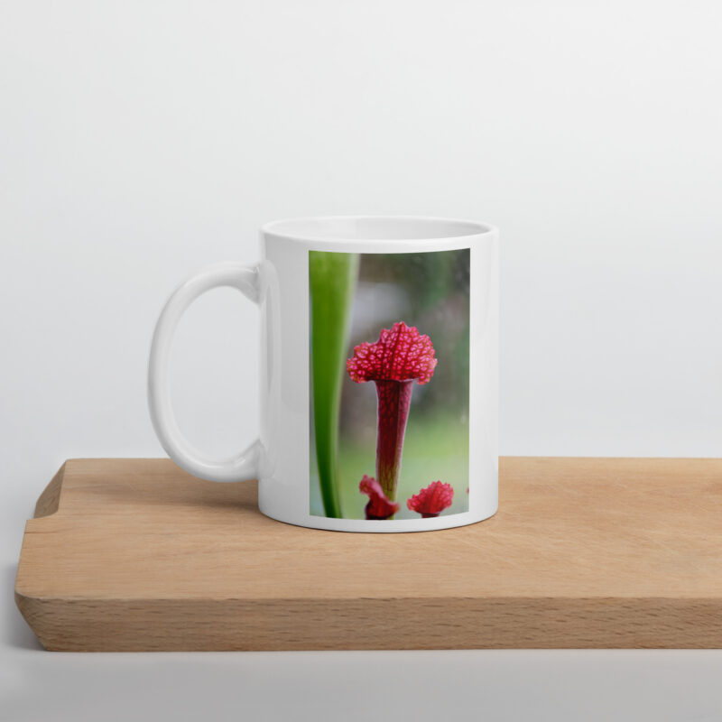 Carnie Mug 3