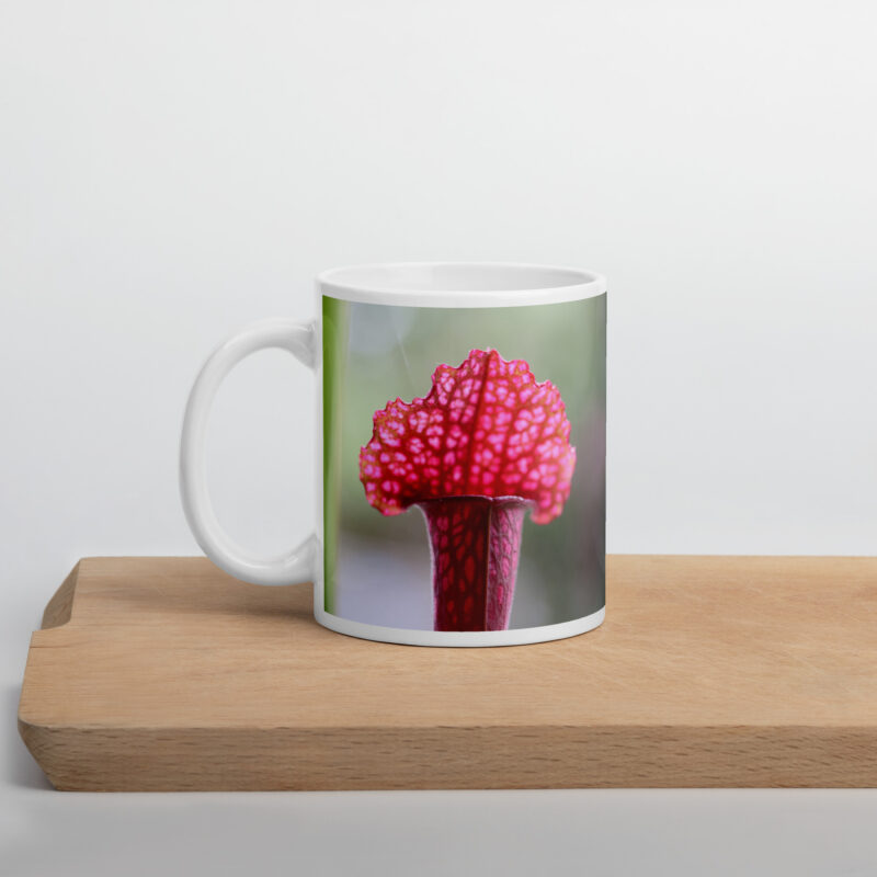Carnie Mug 2 - Image 2