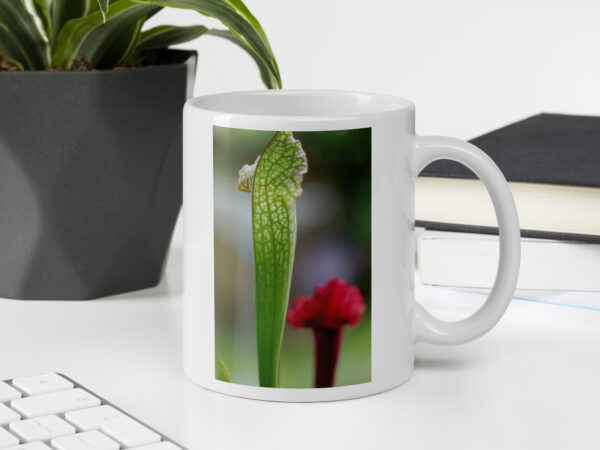 Carnie Mug 4
