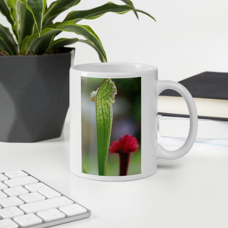 Carnie Mug 4