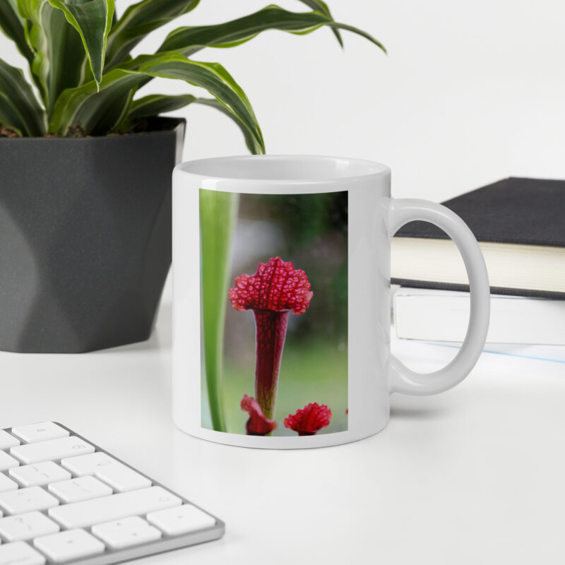 Carnie Mug 3 - Image 2