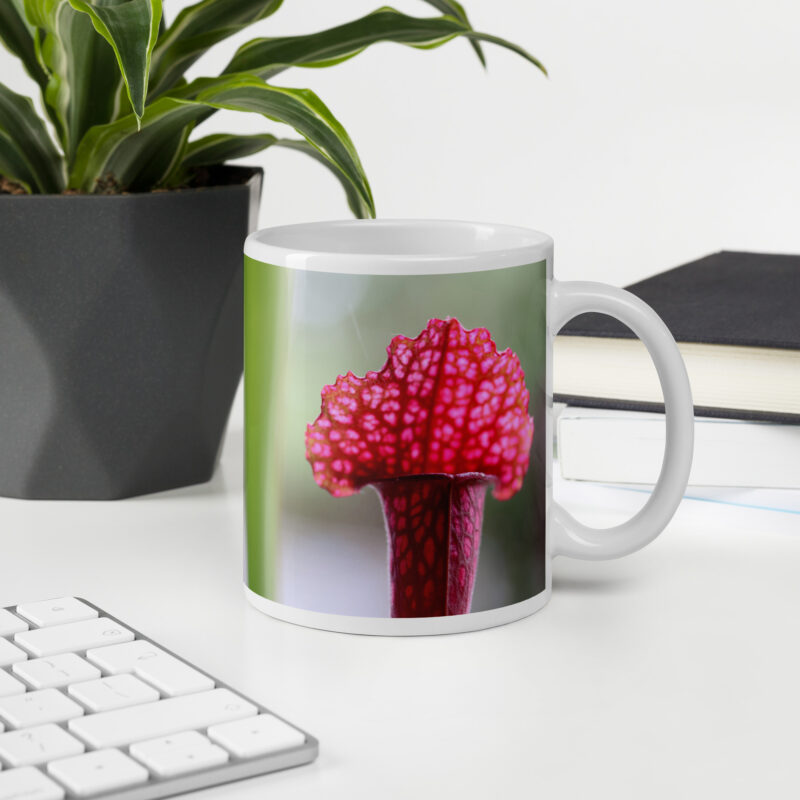 Carnie Mug 2